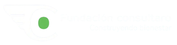 fundacionconsultaro.com
